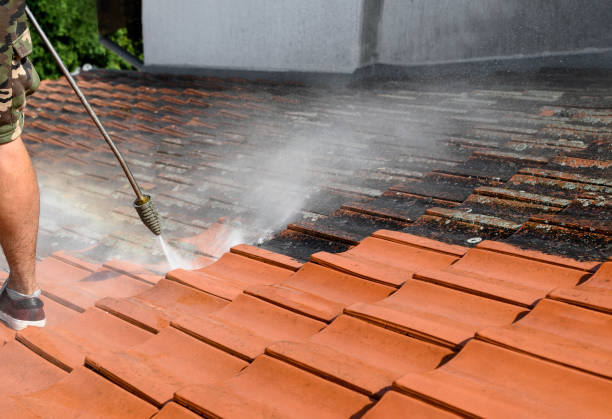 Best Residential Pressure Washing Services  in Waldron, AR